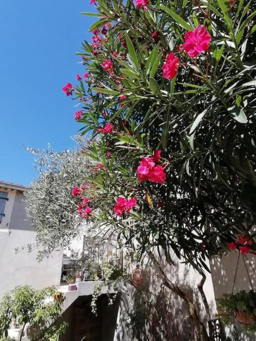 La Chamade Maison De Village Climatisee Lapalud Zewnętrze zdjęcie