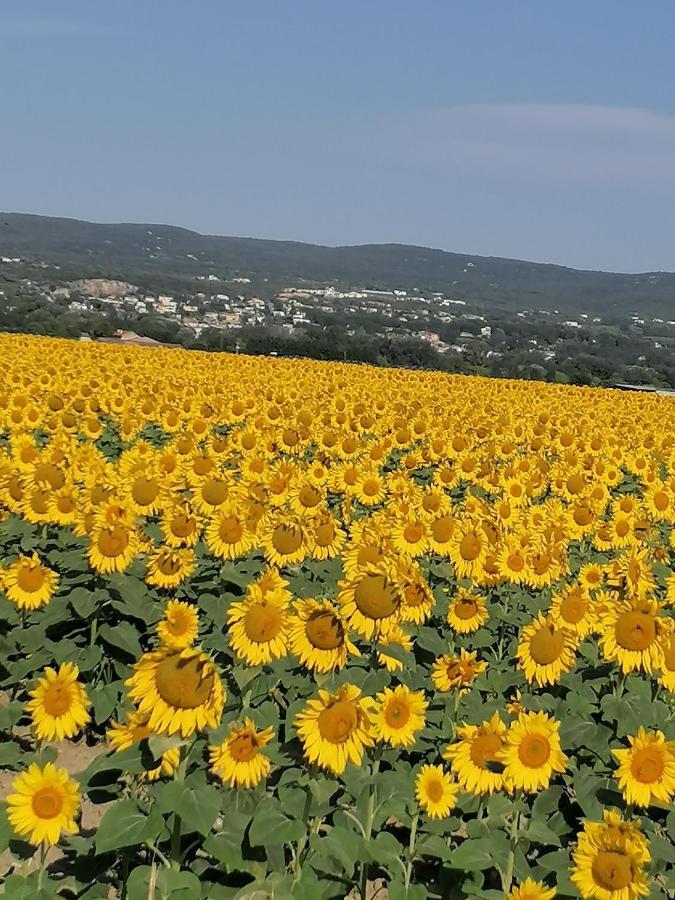 La Chamade Maison De Village Climatisee Lapalud Zewnętrze zdjęcie